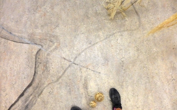 Fin de r&eacute;sidence SAFFCA