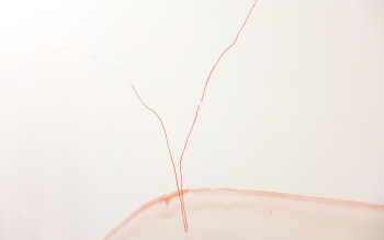 Fin de r&eacute;sidence SAFFCA