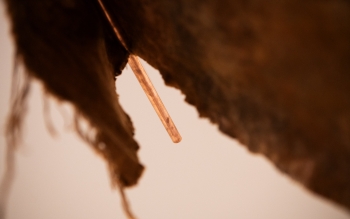 Peau de l'eau Exposition