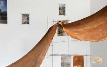 Peau de l'eau Exposition