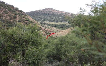 Peau de l'eau, in situ