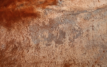 Peau de l'eau, in situ