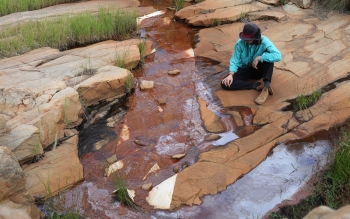 Peau de l'eau, in situ
