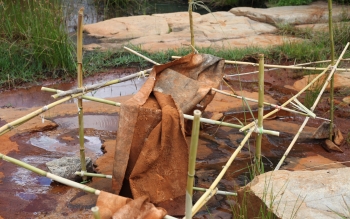 Peau de l'eau, in situ