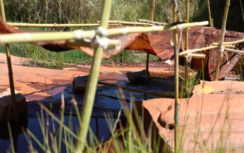 Peau de l'eau, in situ