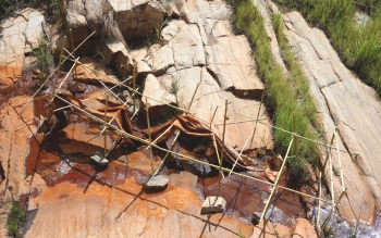 Peau de l'eau, in situ